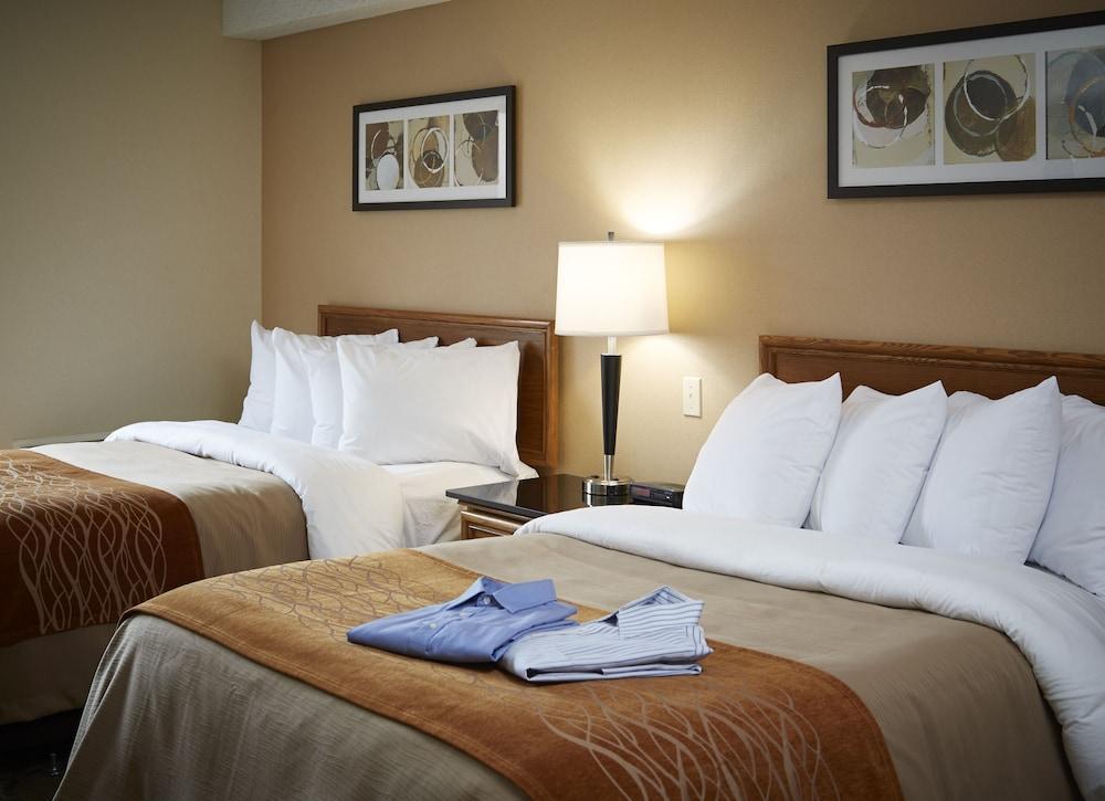 Comfort Inn Корнър Брук Екстериор снимка
