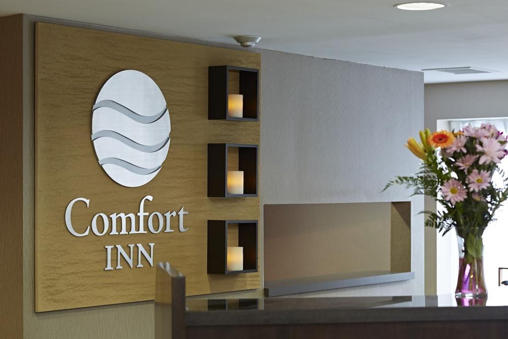 Comfort Inn Корнър Брук Екстериор снимка