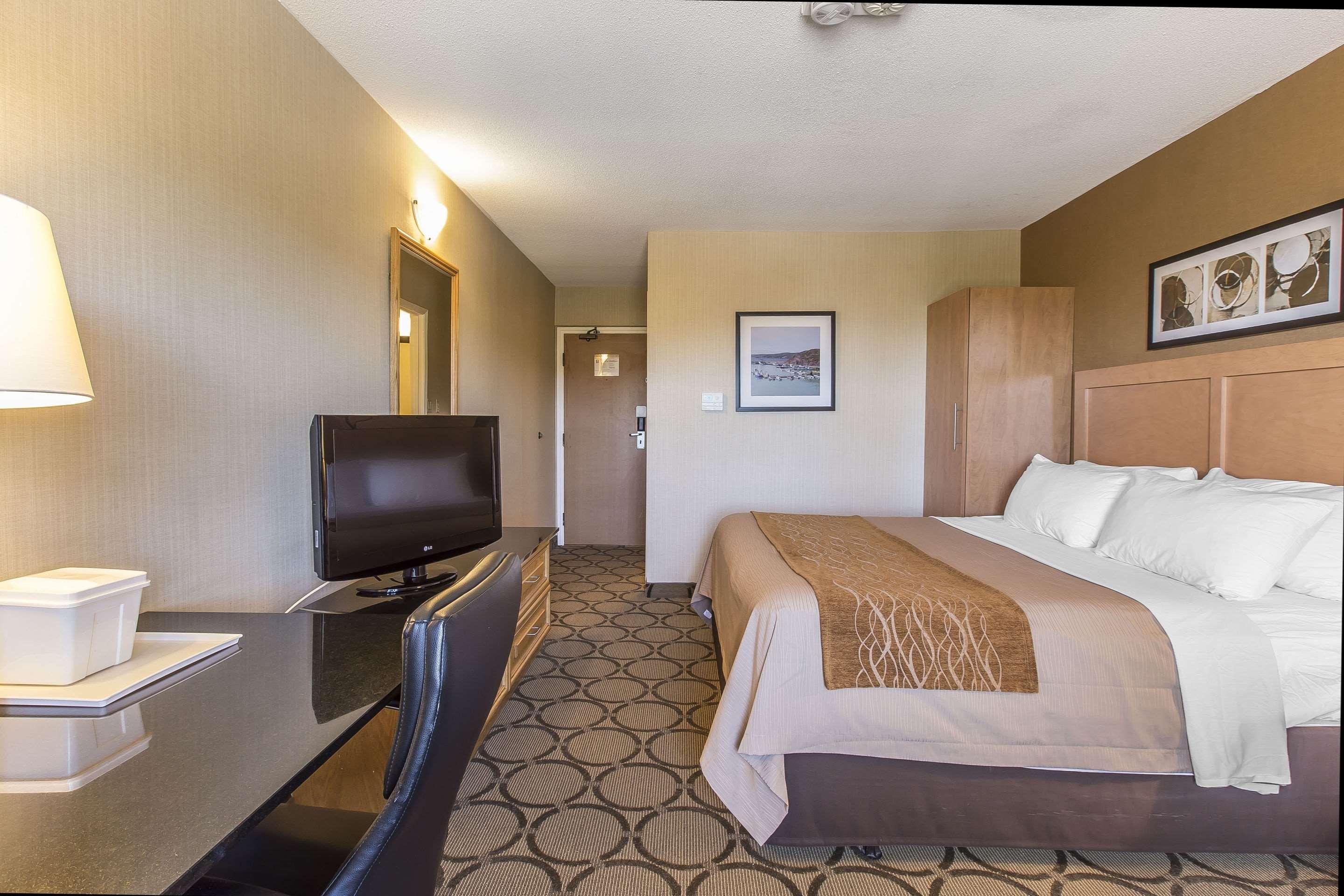 Comfort Inn Корнър Брук Екстериор снимка