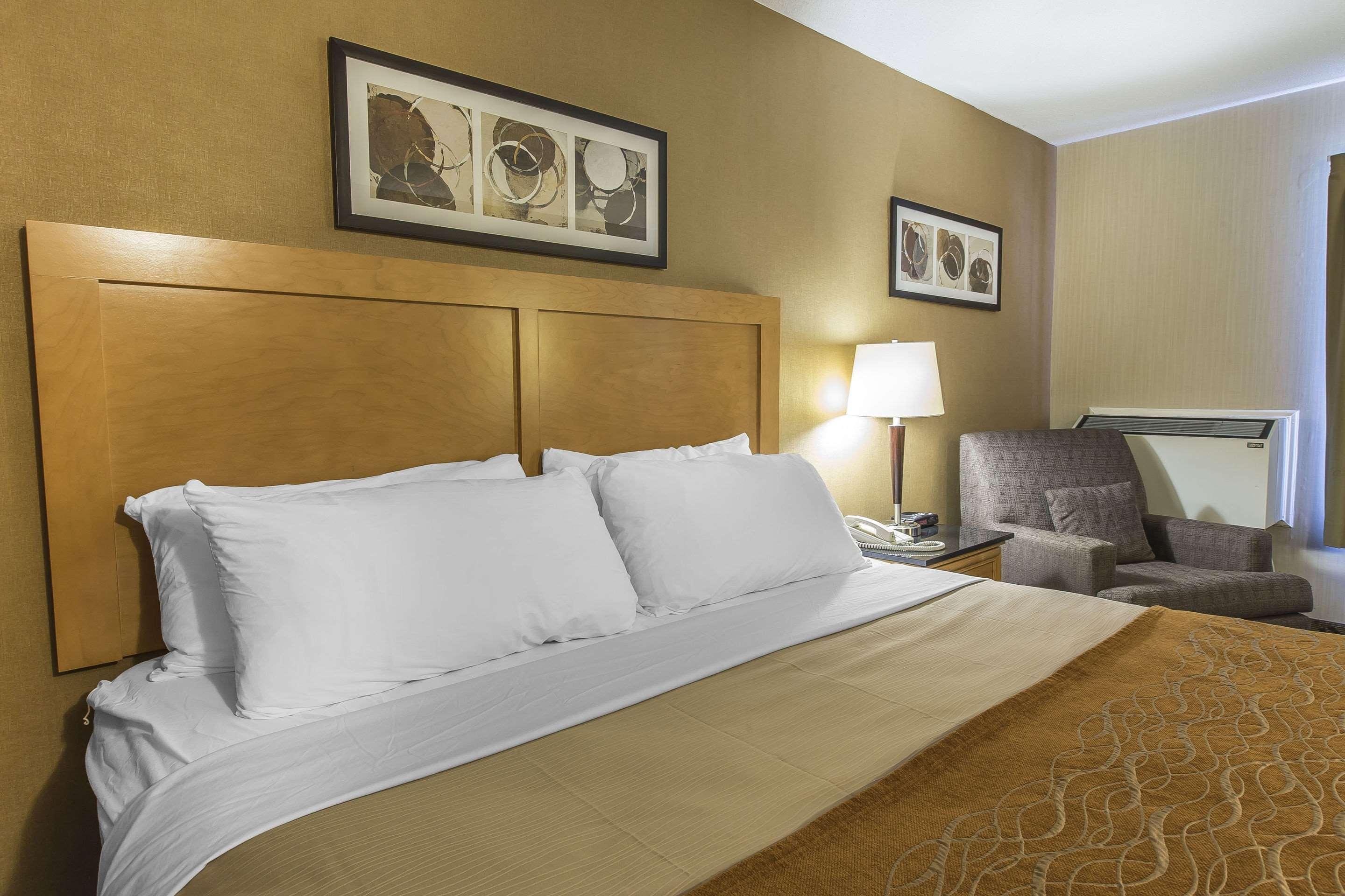 Comfort Inn Корнър Брук Екстериор снимка