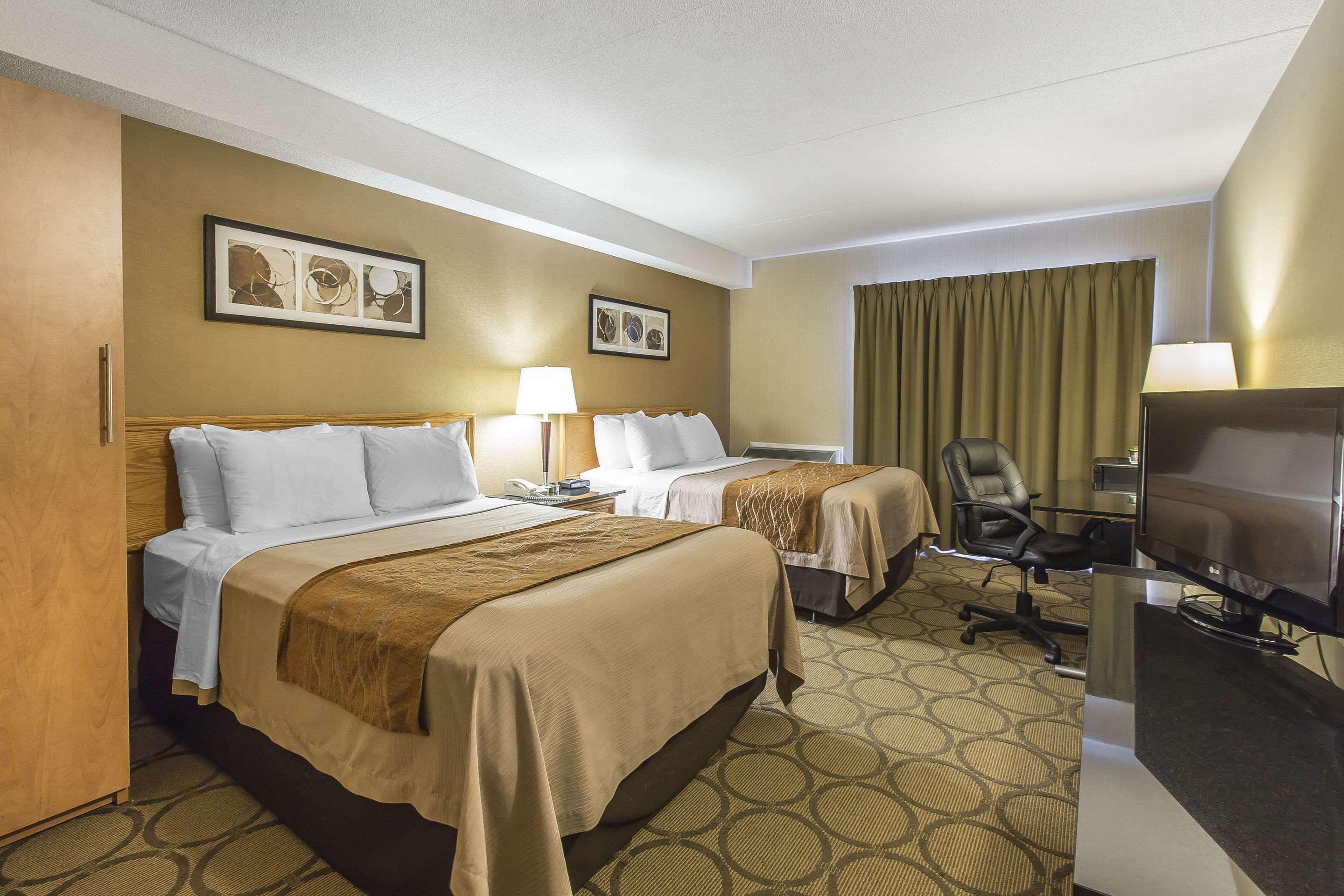 Comfort Inn Корнър Брук Екстериор снимка