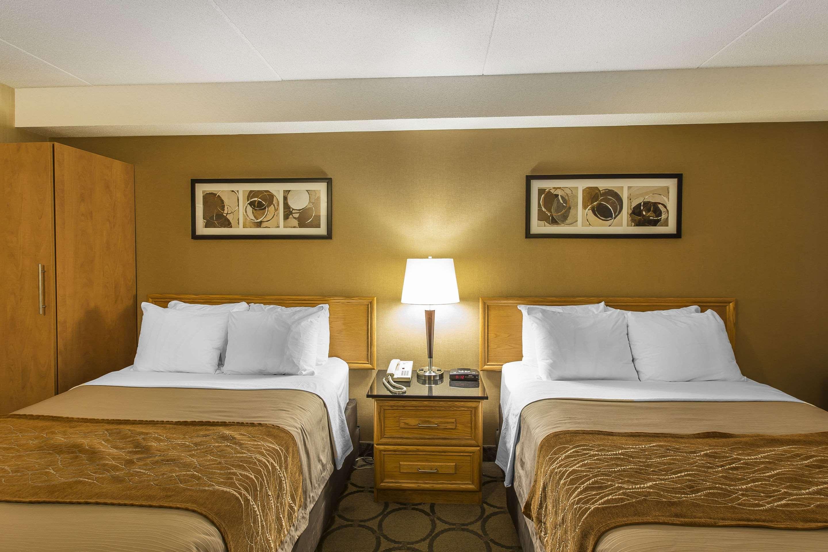 Comfort Inn Корнър Брук Екстериор снимка