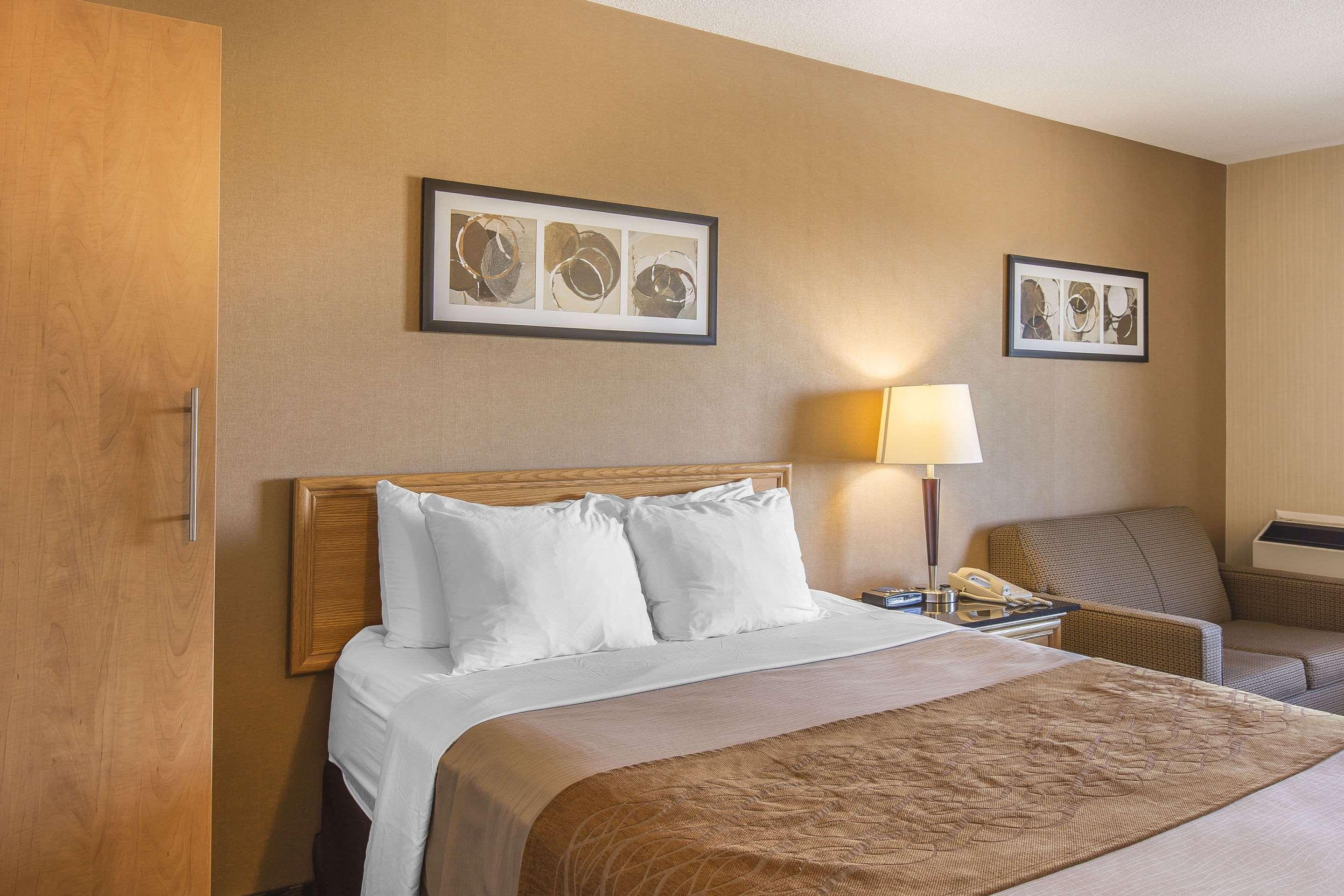 Comfort Inn Корнър Брук Екстериор снимка