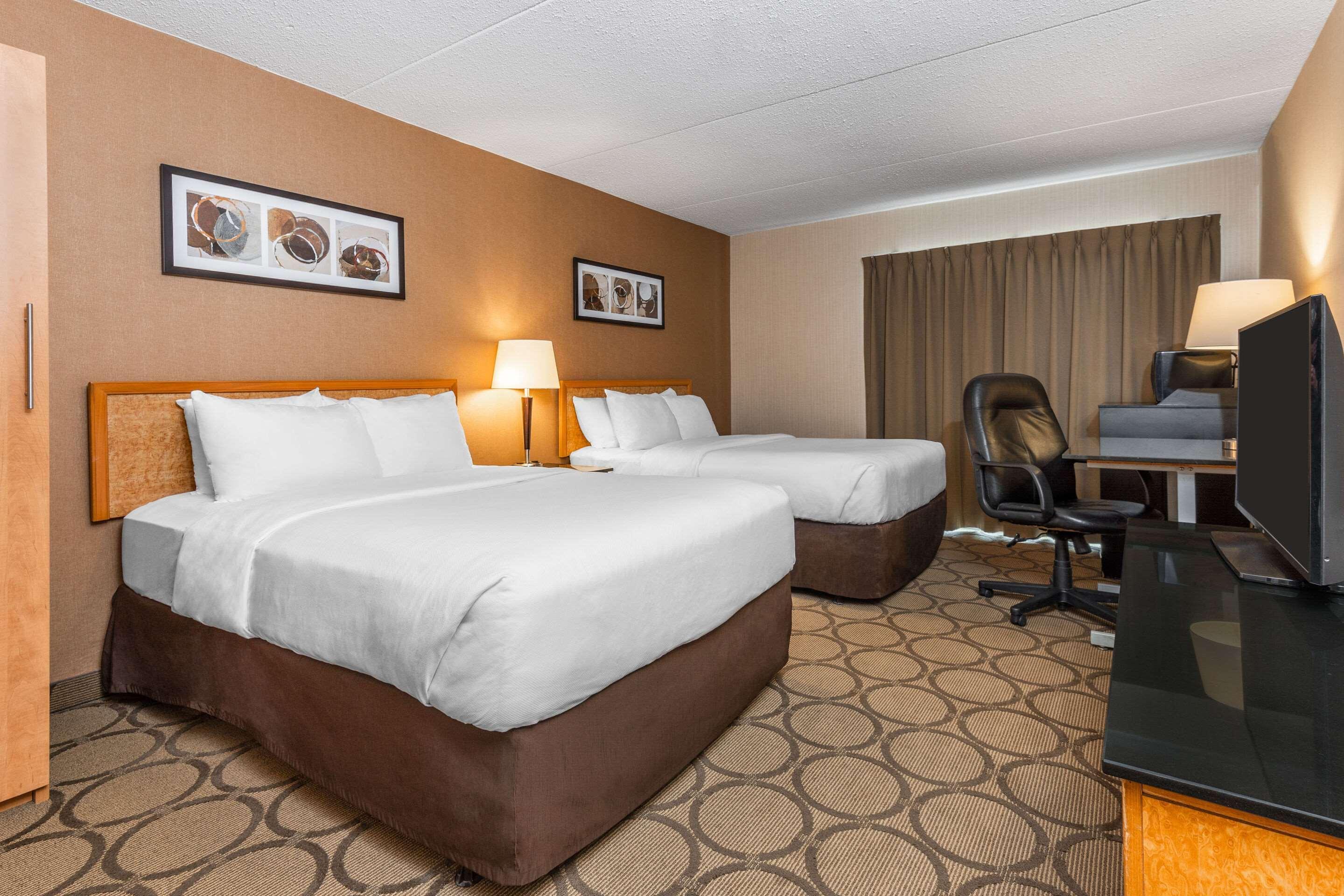 Comfort Inn Корнър Брук Екстериор снимка
