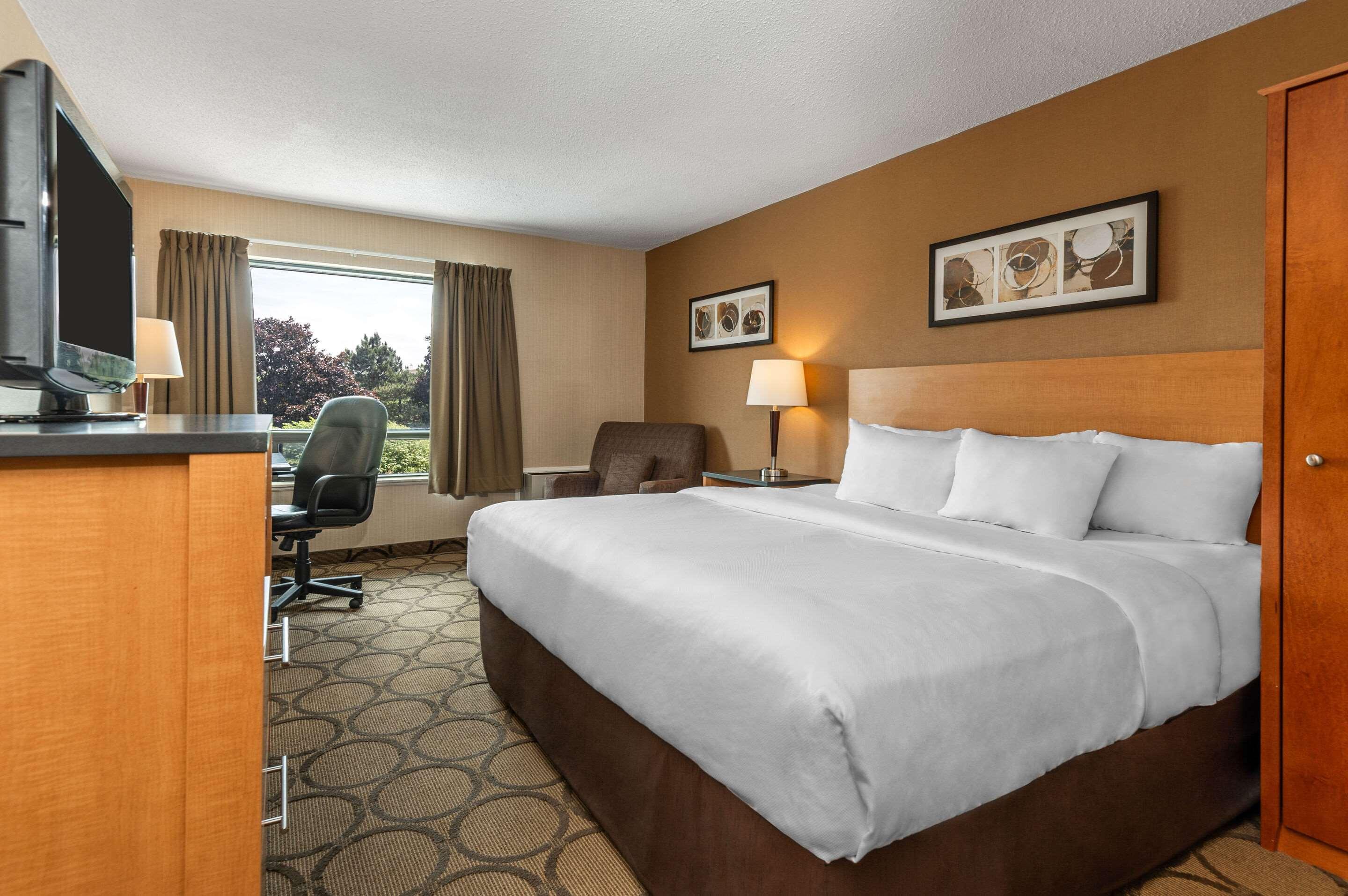 Comfort Inn Корнър Брук Екстериор снимка