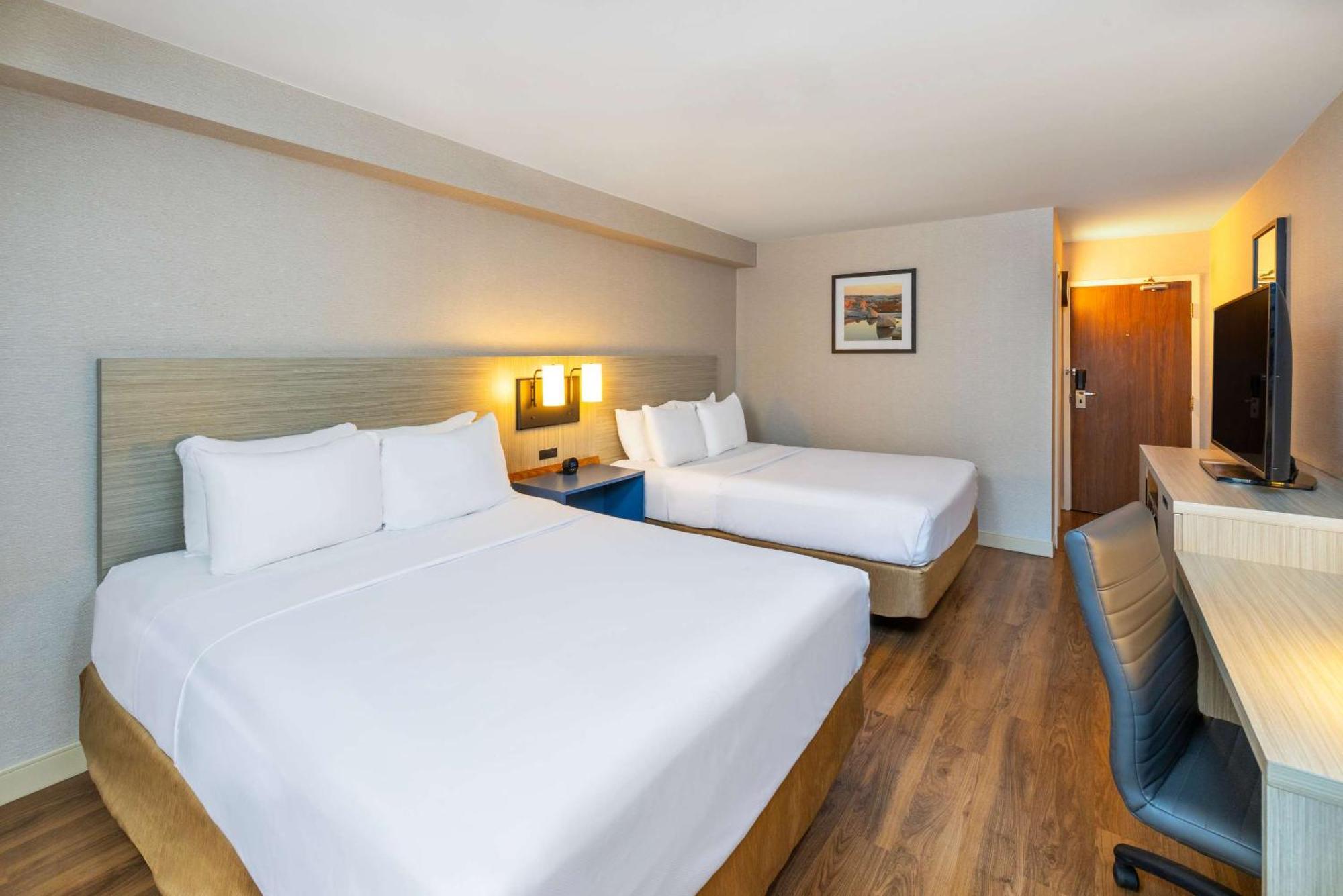 Comfort Inn Корнър Брук Екстериор снимка