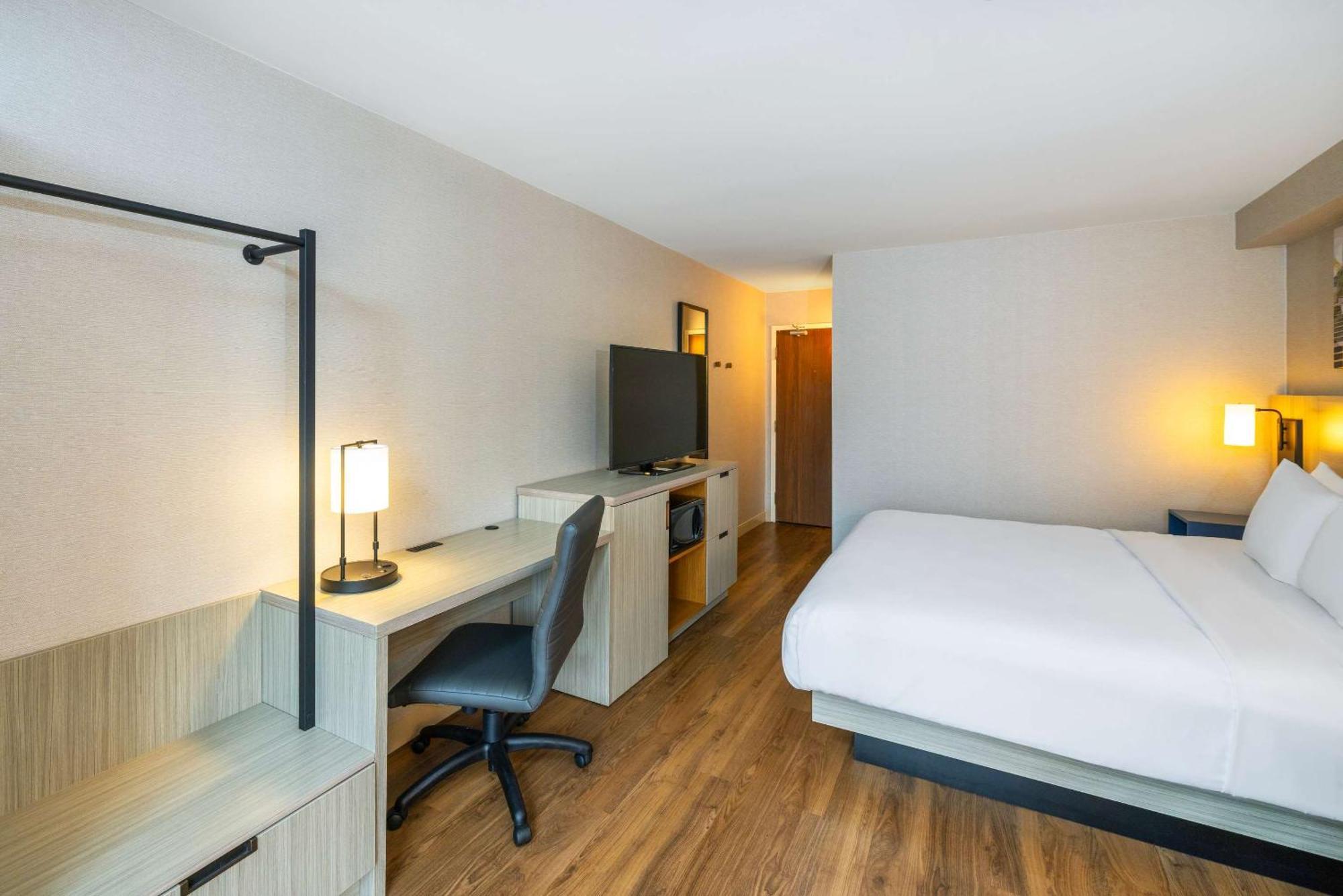 Comfort Inn Корнър Брук Екстериор снимка