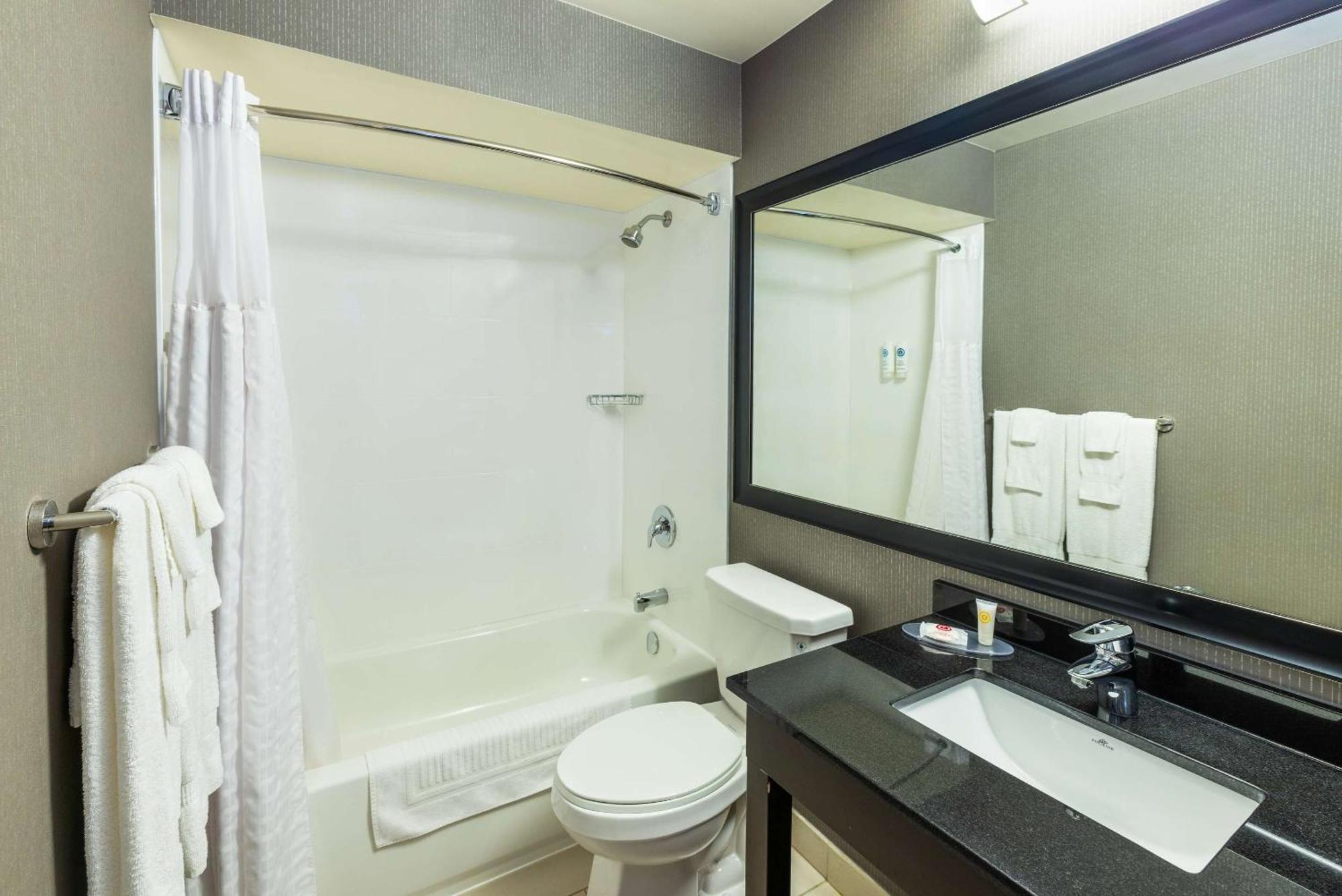 Comfort Inn Корнър Брук Екстериор снимка