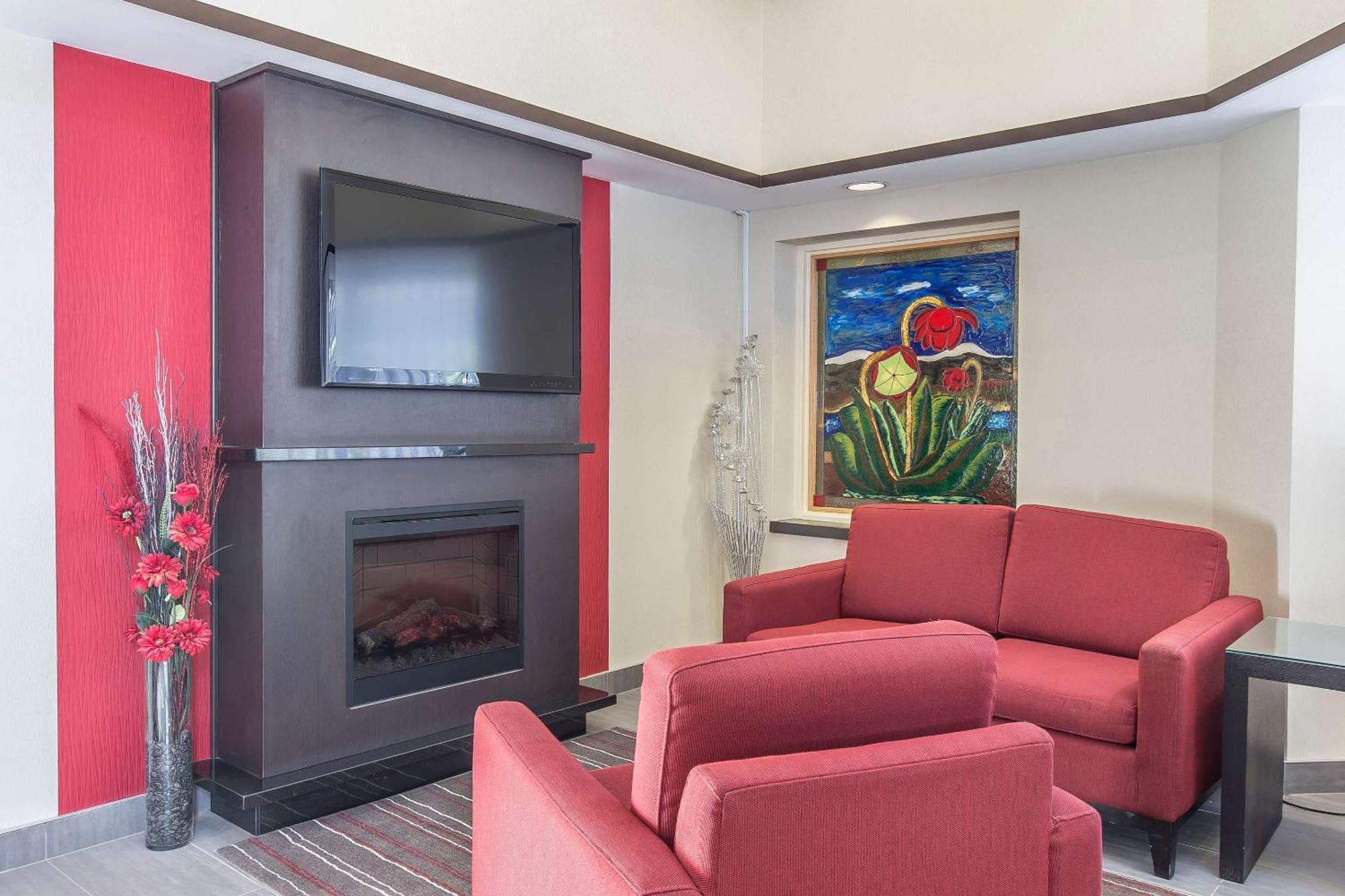 Comfort Inn Корнър Брук Екстериор снимка